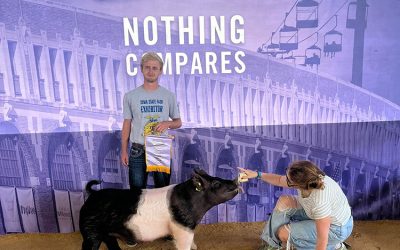 Reserve Division 2 FFA Crossbred Gilt- 2025 Iowa State Fair