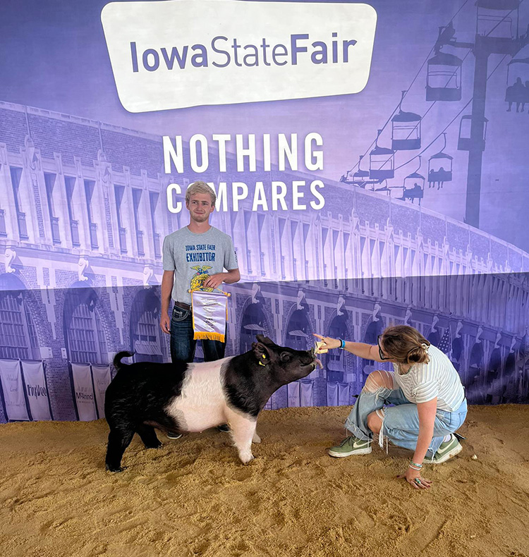 Reserve Division 2 FFA Crossbred Gilt- 2025 Iowa State Fair