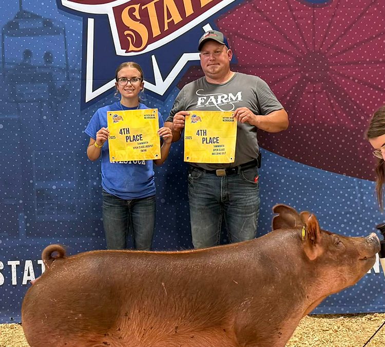 Champion FFA Tamworth Market Gilt – 2025 Nebraska State Fair