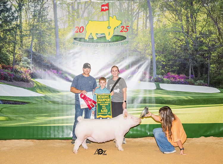 Reserve Champion Bred & Owned Yorkshire Gilt- 2025 NJSS