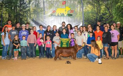 Champion Tamworth Gilt – 2025 NJSS