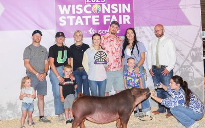 Reserve Champion Duroc Gilt – 2025 Wisconsin State Fair