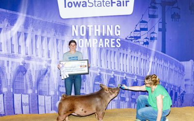 Reserve Champion FFA Tamworth Gilt – 2025 Iowa State Fair