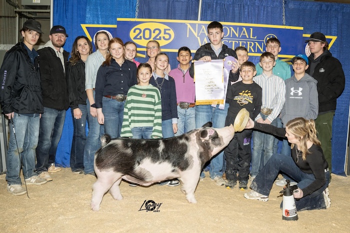 Reserve Champion Spot Market Hog – 2025 National Western Stock Show