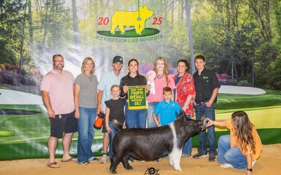 4th Overall Hampshire Gilt – 2025 NJSS