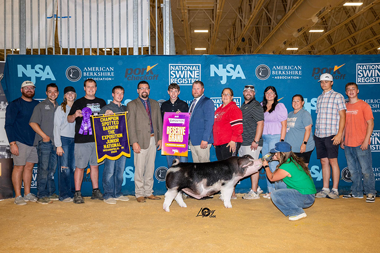 Reserve Overall Purebred Barrow & Champion Spot – 2025 The Exposition