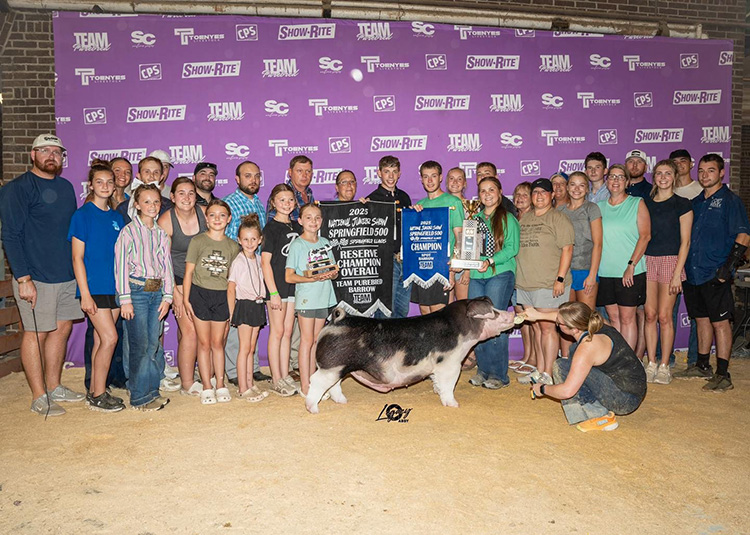 Reserve Overall Team Purebred Barrow & Champion Spot – 2025 Team Purebred Jr National