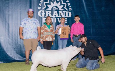 3rd Overall Chester Gilt – 2025 Kansas State Fair