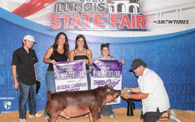 3rd Overall Duroc Barrow – 2025 Illinois State Fair