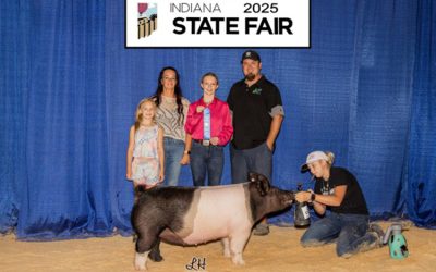 1st Place Crossbred Gilt – 2025 Indiana State Fair