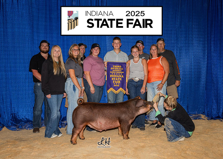 3rd Overall Division 2 Duroc Barrow – 2025 Indiana State Fair