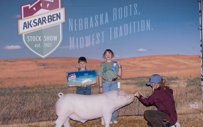 Champion Landrace Market Hog – 2025 Aksarben
