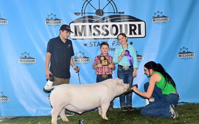 Champion Open Landrace Barrow – 2025 Missouri State Fair