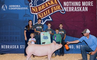 Reserve Champion 4-H Yorkshire Market Hog – 2025 Nebraska State Fair