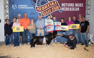 Reserve Overall Open Class Gilt & Reserve Crossbred  – 2025 Nebraska State Fair