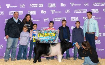 Champion Crossbred Gilt – 2025 TP Junior Classic