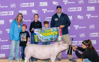 Reserve Champion Landrace Gilt – 2025 TP Junior Classic