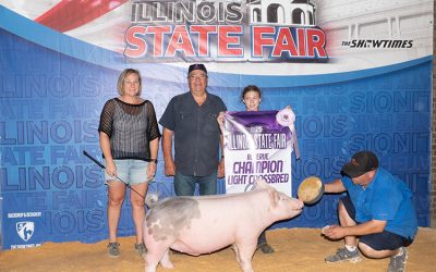 Reserve Champion Light Cross Barrow – 2025 Illinois State Fair