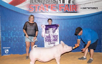 Reserve Champion Yorkshire Barrow – 2025 Illinois State Fair