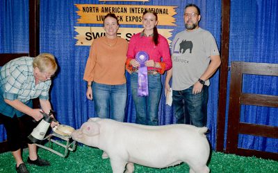 Champion Landrace Gilt – 2025 NAILE