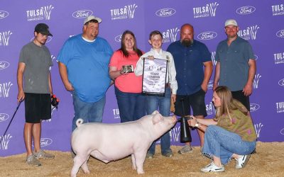 Reserve Champion Chester Barrow – 2025 Tulsa State Fair