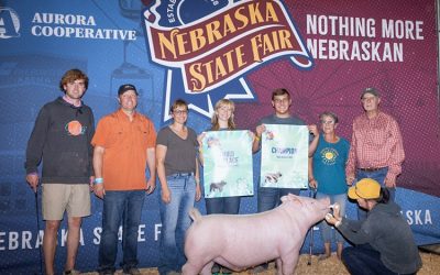 3rd Overall 4-H Market Hog & Champion Yorkshire – 2025 Nebraska State Fair