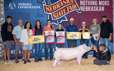 4th Overall FFA Purebred Market Barrow & Champion Chester – 2025 Nebraska State Fair
