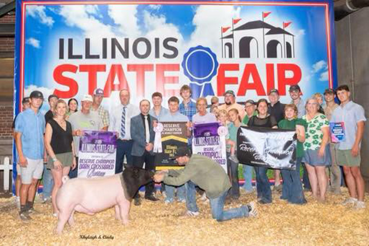 Reserve Grand Overall Barrow & Reserve Crossbred – 2025 Illinois State Fair