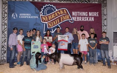 Reserve Champion Overall 4-H Gilt & Reserve Cross – 2025 Nebraska State Fair