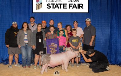 5th Overall Light Cross Barrow – 2025 Indiana State Fair