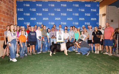 Champion Overall Crossbred Gilt – 2025 State Fair of Texas