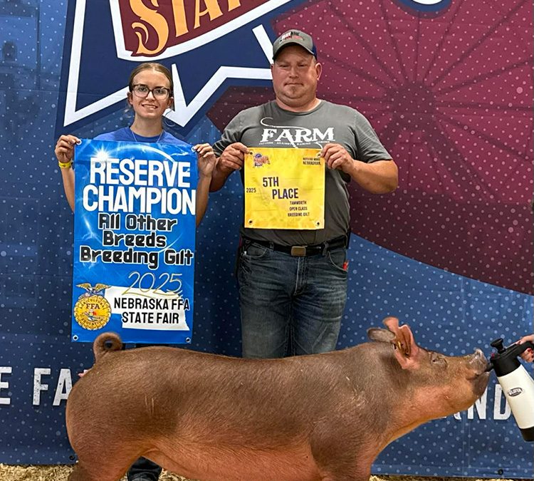 Reserve Champion FFA Tamworth Gilt – 2025 Nebraska State Fair