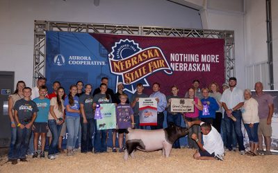 Champion Overall 4-H Gilt & Champion Cross – 2025 Nebraska State Fair