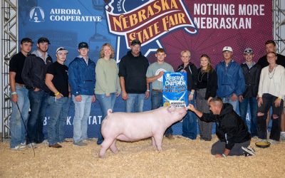 Reserve Champion FFA Chester Gilt – 2025 Nebraska State Fair
