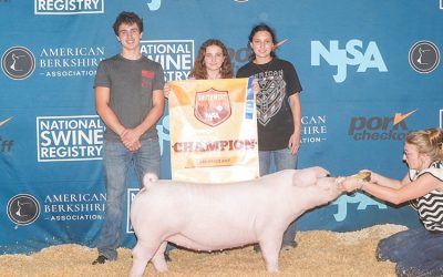 Reserve Champion Chester Gilt – 2025 NJSA Southwest Regional