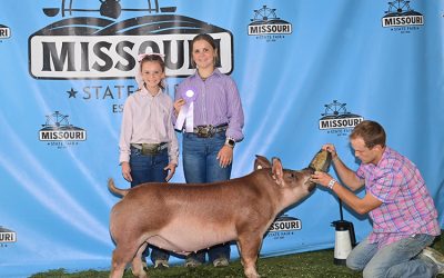 Reserve Champion FFA AOB Barrow – 2025 Missouri State Fair