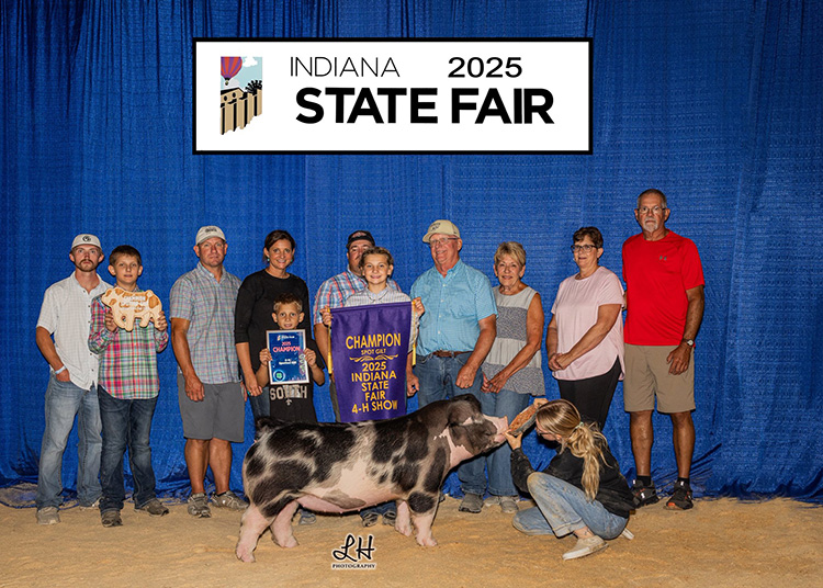Champion Spot Gilt – 2025 Indiana State Fair