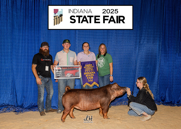 3rd Overall Division 2 Duroc Gilt – 2025 Indiana State Fair