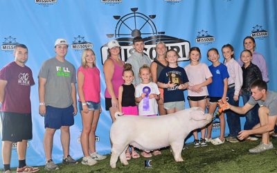 Champion 4-H AOB Barrow – 2025 Missouri State Fair