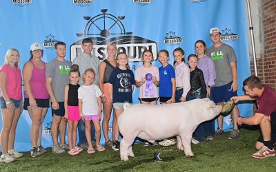 Champion 4-H Chester Barrow – 2025 Missouri State Fair
