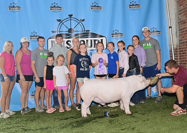 Champion 4-H Chester Barrow – 2025 Missouri State Fair