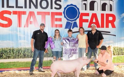 Champion Cheter Gilt – 2025 Illinois State Fair