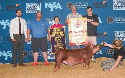 Champion Overall Team Purebred Barrow & Champion Tamworth- 2025 NJSA Southwest Regional