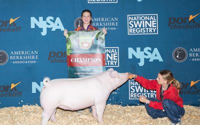 Champion Chester Gilt – 2025 NJSA Eastern Regional