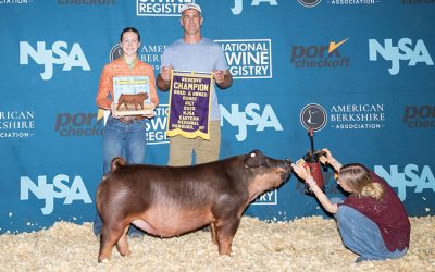 Reserve Champion Bred & Owned Duroc Gilt – 2025 NJSA Eastern Regional