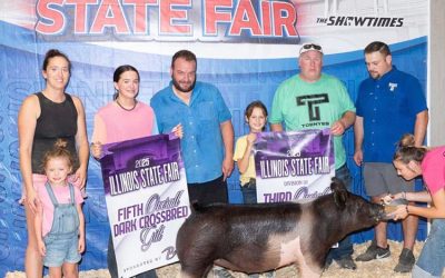 5th Overall Dark Cross Gilt – 2025 Illinois State Fair