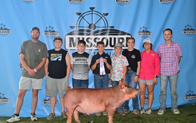 Reserve Champion 4-H AOB Barrow – 2025 Missouri State Fair