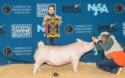 Reserve Champion Bred & Owned Yorkshire Gilt – 2025 NJSA Western Regional