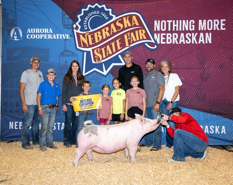Reserve Champion Open Class Light Cross Gilt – 2025 Nebraska State Fair