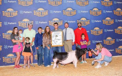 3rd Overall Market Hog – 2025 New Mexico State Fair